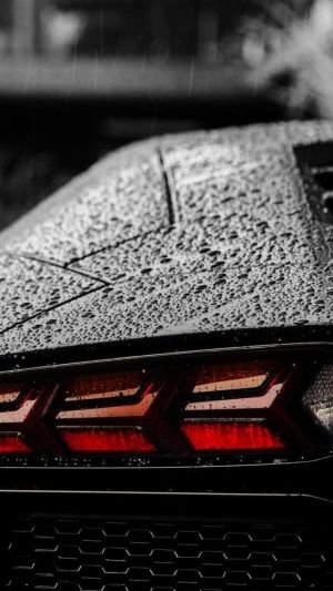 Wallpaper