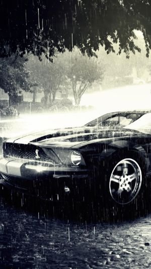 Wallpaper