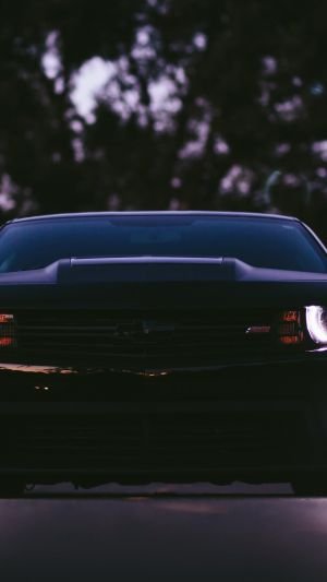 Wallpaper