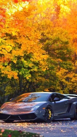 Wallpaper