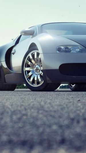 Wallpaper