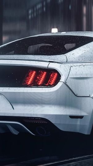Wallpaper