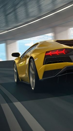 Wallpaper