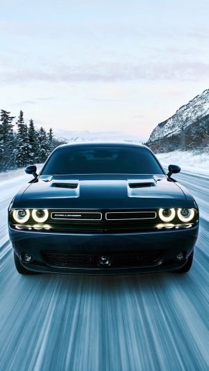 Wallpaper