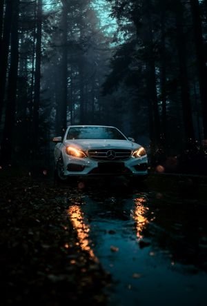Wallpaper