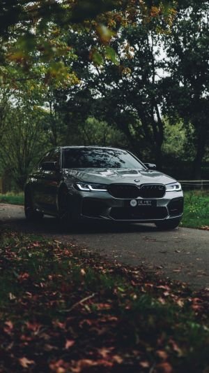 Wallpaper