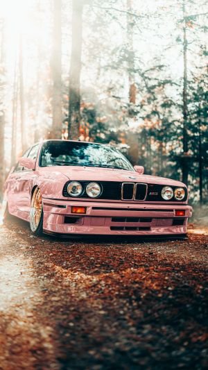 Wallpaper