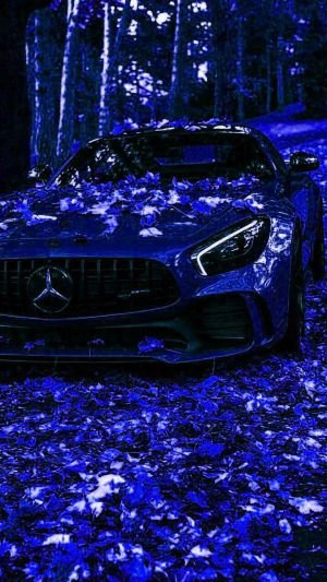 Wallpaper
