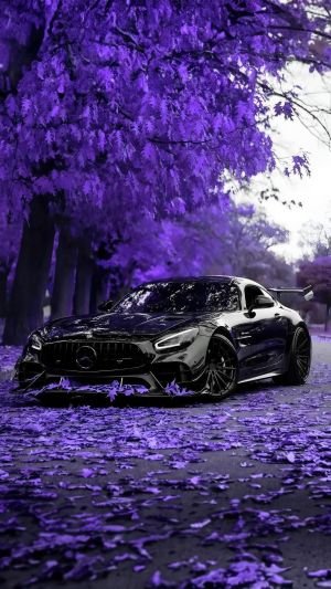 Wallpaper