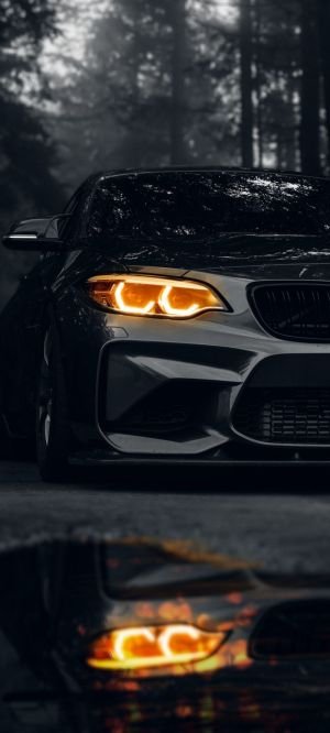 Wallpaper
