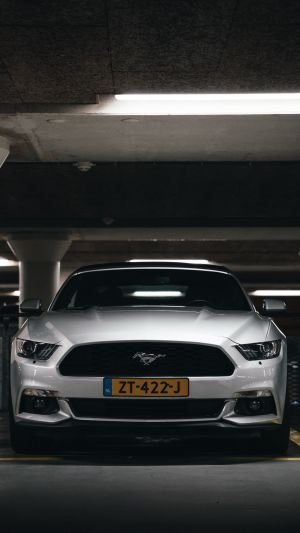 Wallpaper