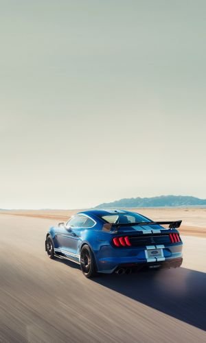 Wallpaper