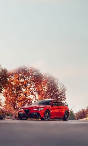 Wallpaper