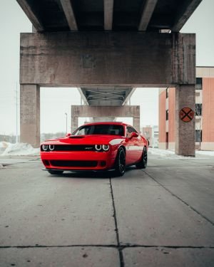 Wallpaper