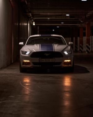 Wallpaper