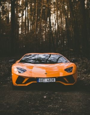 Wallpaper