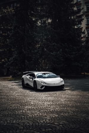 Wallpaper