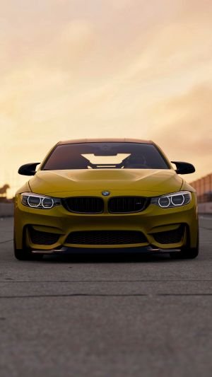 Wallpaper