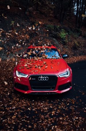 Wallpaper