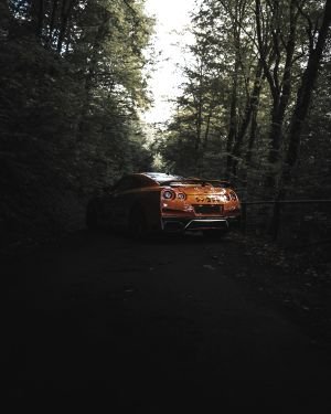 Wallpaper