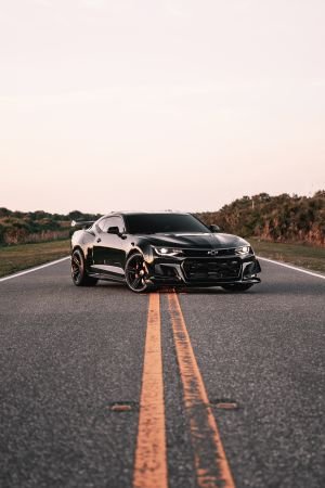 Wallpaper