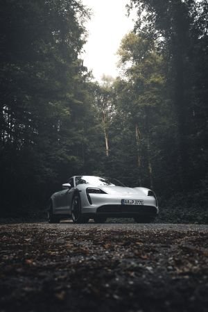 Wallpaper