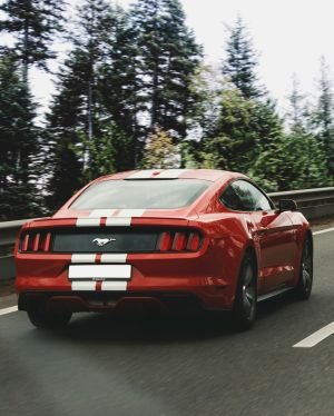 Wallpaper