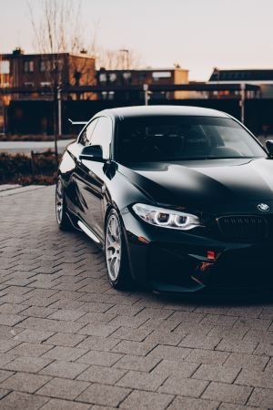 Wallpaper