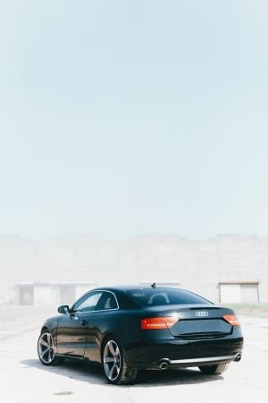 Wallpaper