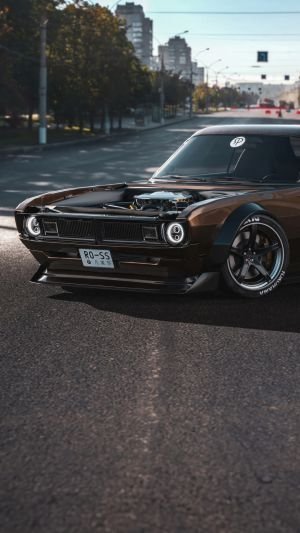 Wallpaper