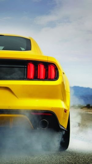 Wallpaper