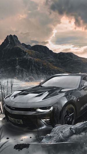 Wallpaper
