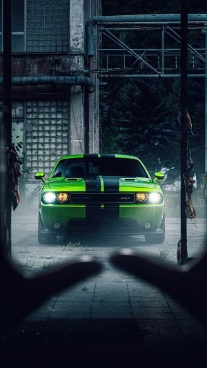 Wallpaper