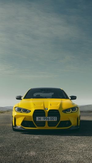 Wallpaper