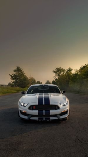 Wallpaper