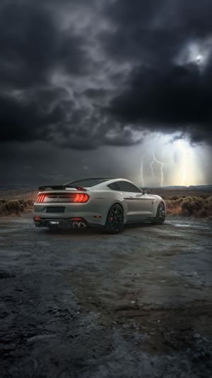 Wallpaper