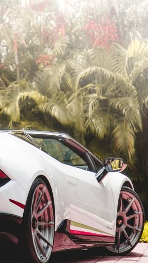 Wallpaper