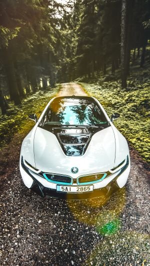 Wallpaper