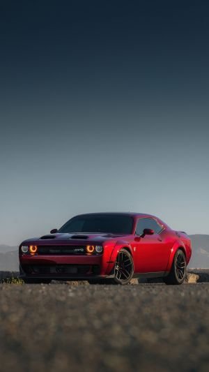 Wallpaper