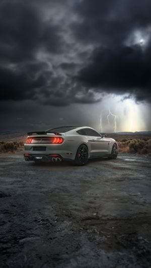 Wallpaper