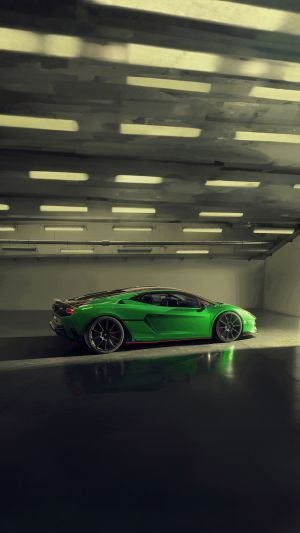 Wallpaper
