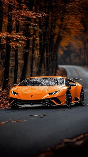 Wallpaper