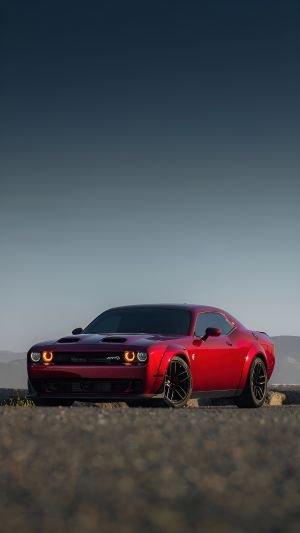 Wallpaper