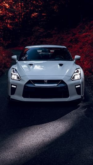 Wallpaper