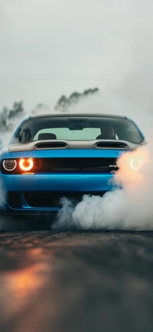 Wallpaper
