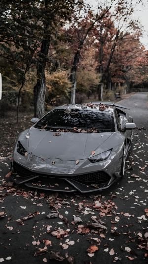 Wallpaper