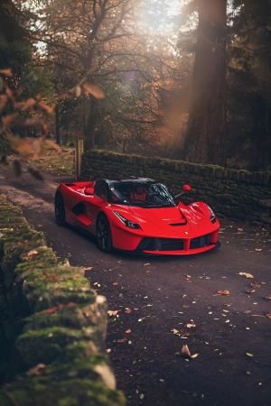 Wallpaper