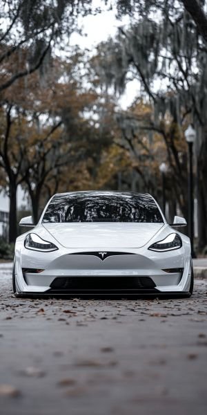 Wallpaper