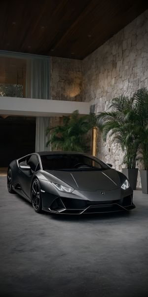 Wallpaper