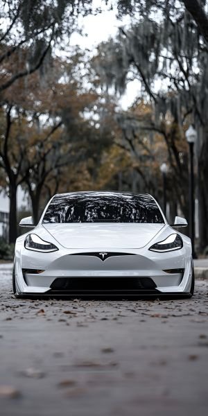 Wallpaper